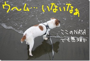 今日カズ０９０６１４　７