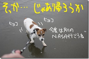 今日カズ０９０６１４　８