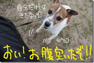 今日カズ０９０６１４　９