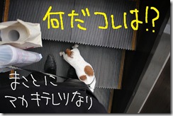 今日カズ０９０６１４　１１