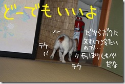 今日カズ０９０６１５　５