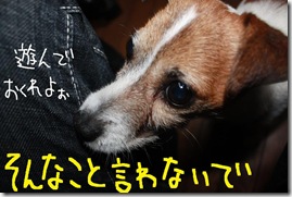 今日カズ０９０６１６　２