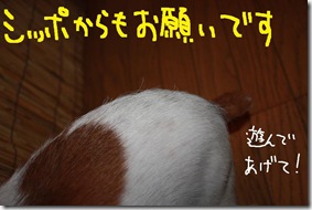 今日カズ０９０６１６　３