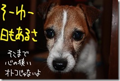 今日カズ０９０６１７　２
