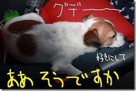 今日カズ０９０６１８　２