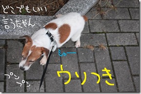 今日カズ０９０６１８　４