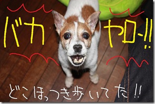 今日カズ０９０６２１　１