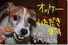 今日カズ０９０６２１　３