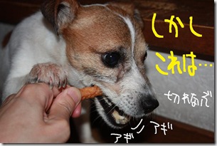 今日カズ０９０６２１　４