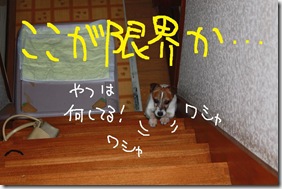 今日カズ０９０６２１　２