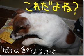今日カズ０９０６２１　５