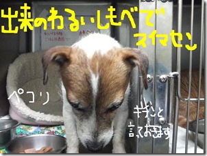 今日カズ０９０６２５　１