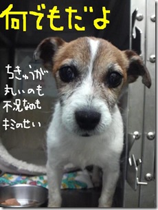 今日カズ０９０６２４　２