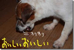 今日カズ０９０６２３　５