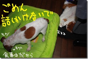 今日カズ０９０６２５　５