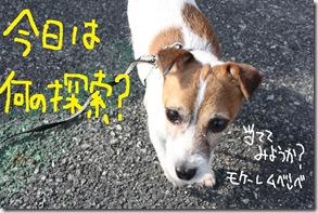 今日カズ０９０６２６　１