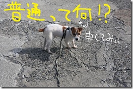 今日カズ０９０６２６　４