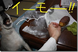 今日カズ０９０６２６　８
