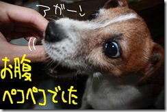 今日カズ０９０６２６　９