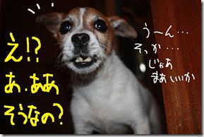 今日カズ０９０６２７　４