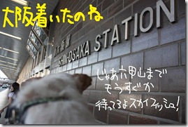 今日カズ０９０６２８　２