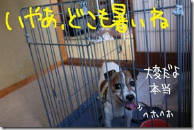 今日カズ０９０６２８　３