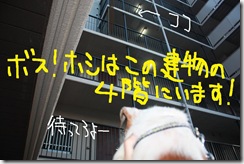 今日カズ０９０６２８　７