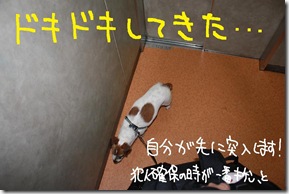 今日カズ０９０６２８　８