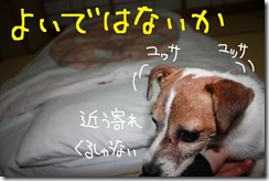 今日カズ０９０６２８　１１