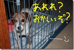 今日カズ０９０６２８　１２