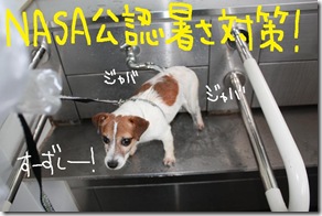 今日カズ０９０６２９　３
