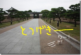 今日カズ０９０６２９　６