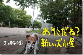 今日カズ０９０６２９　１１
