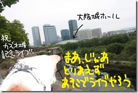 今日カズ０９０６２９　１２