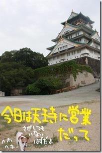 今日カズ０９０６２９　１５