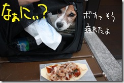 今日カズ０９０６２９　２０