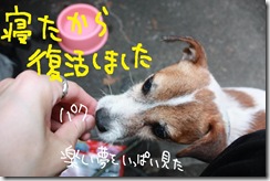 今日カズ０９０６２９　２１