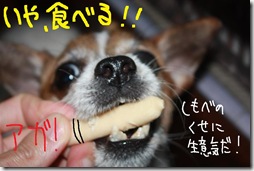 今日カズ０９０６３０　４