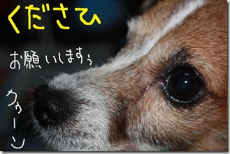 今日カズ０９０６３０　５