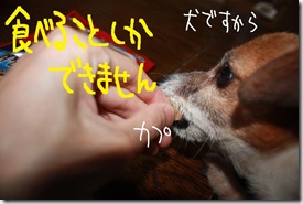 今日カズ０９０７０１　３