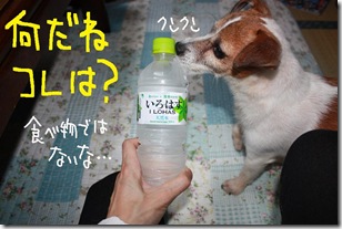 今日カズ０９０７０２　４