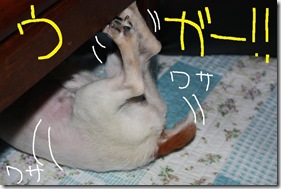 今日カズ０９０７０２　５