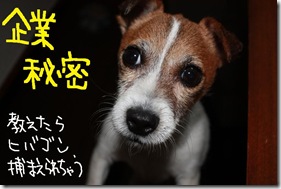 今日カズ０９０７０２　９