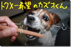 今日カズ０９０７０３　２