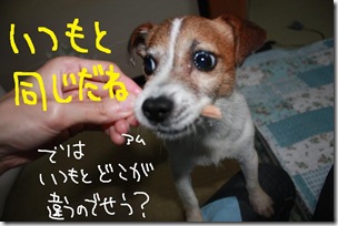 今日カズ０９０７０３　３