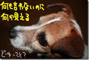 今日カズ０９０７０４　１