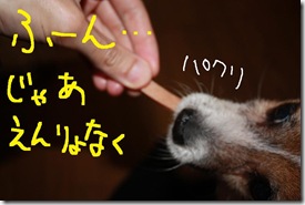 今日カズ０９０７０４　２