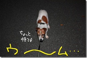 今日カズ０９０７０５　５