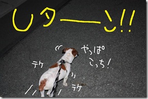今日カズ０９０７０５　６