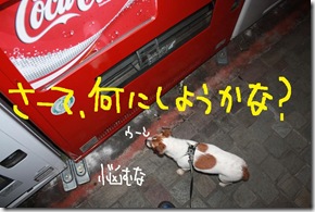 今日カズ０９０７０５　７